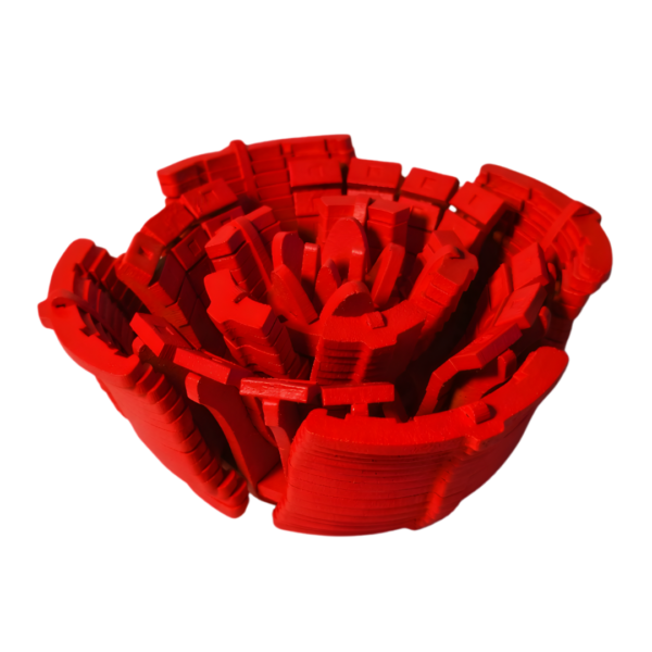 rose couleur rouge