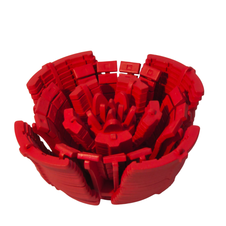 Accueil Rose Woodzy rouge